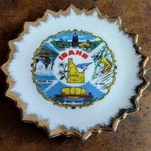 Collectable Retro Vintage Travel 1960's Idaho Plate